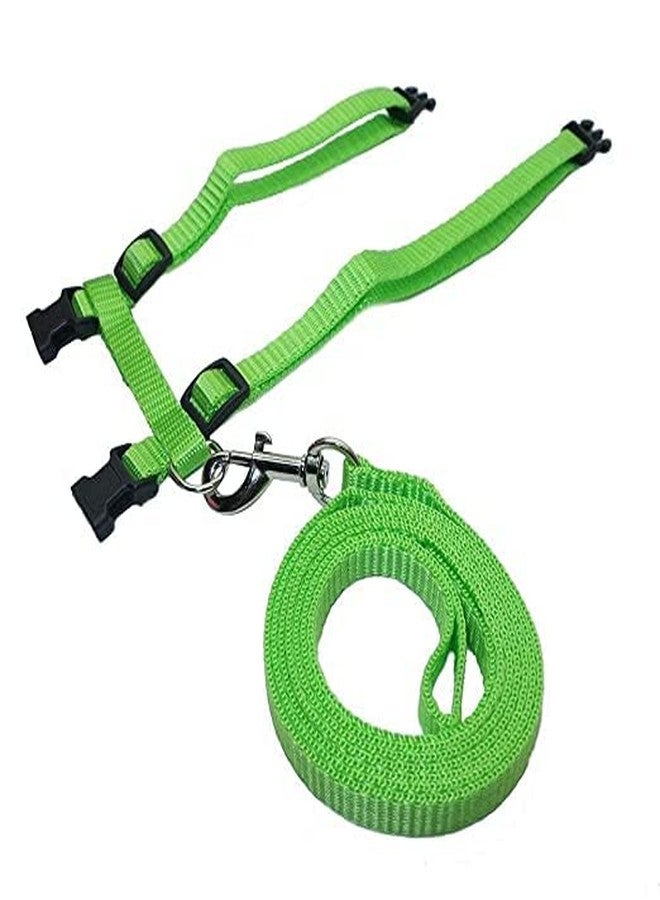 Pups&Pets طقم مقود نايلون من Pups&Pets مع حزام كامل للجسم للقطط، قابل للتعديل ومتين، مناسب للمشي مع الحيوانات الأليفة الصغيرة - أخضر - Image 2